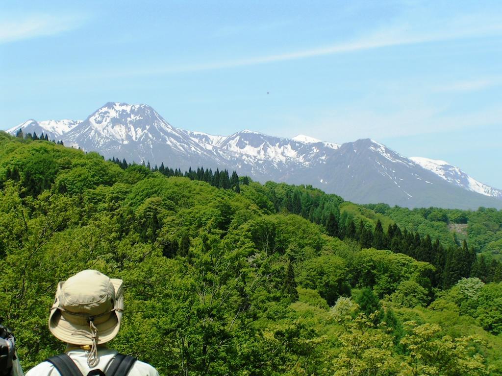 Madarao Elm Pension Iiyama Εξωτερικό φωτογραφία