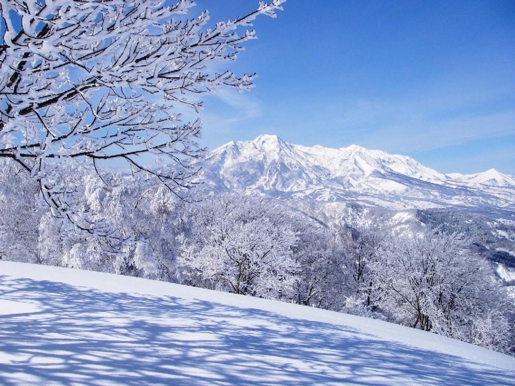 Madarao Elm Pension Iiyama Εξωτερικό φωτογραφία
